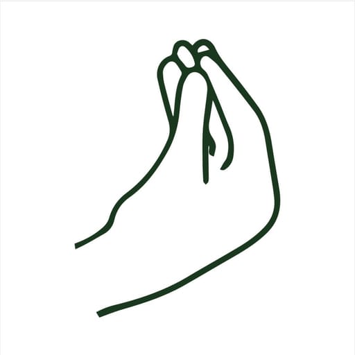 Logo DIMMI