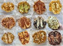 Offre Camby chez THE COOKIE FREAKS